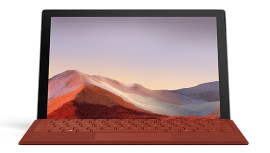 港闸清洁和维护 Surface